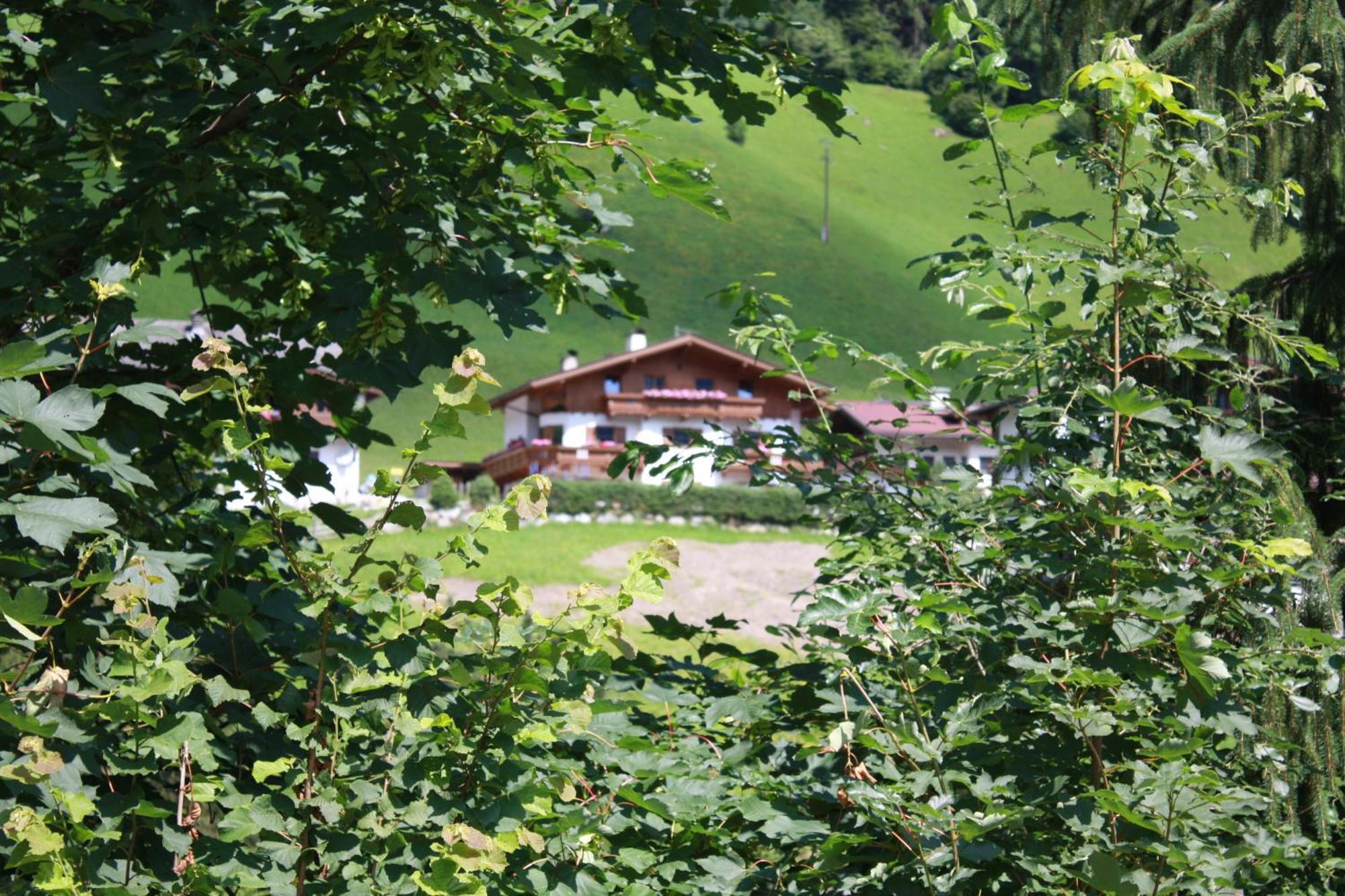 Zellerhof Apartment ฟิงเคนแบร์ก ภายนอก รูปภาพ
